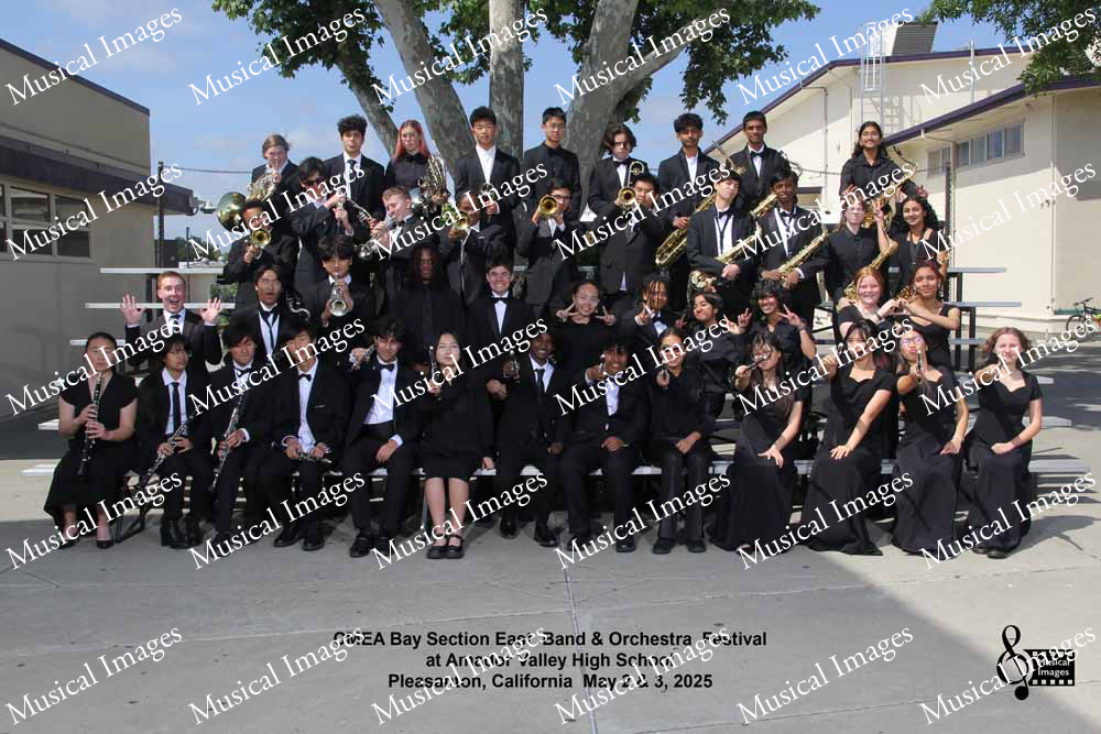 Musical Images